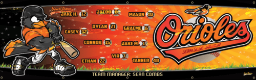 Orioles, 8.5'x2' - 1065