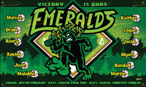 Emeralds - 810