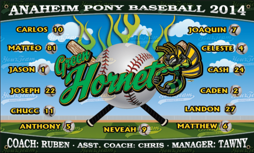 Hornets, Green - 880