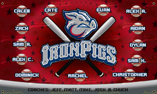 IronPigs - 941