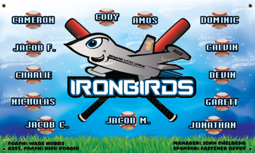 IronBirds - 930
