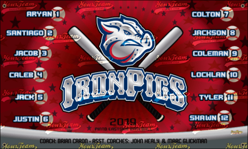IronPigs - 940