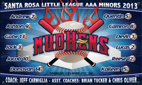Mud Hens - 1042