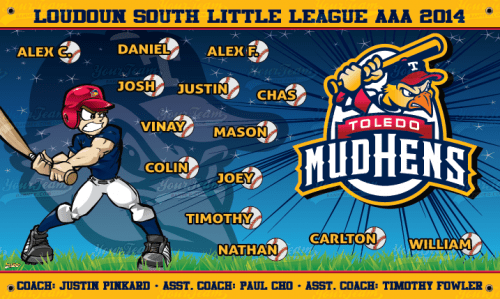 Mud Hens - 1045