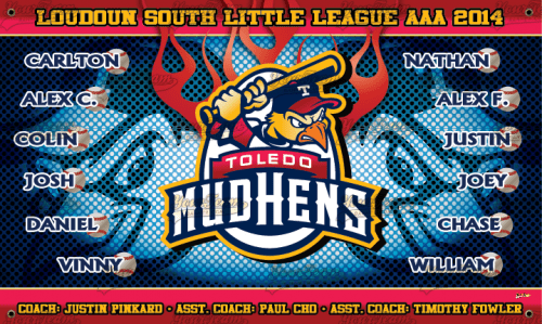 Mud Hens - 1043