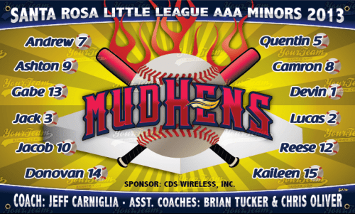 Mud Hens - 1041
