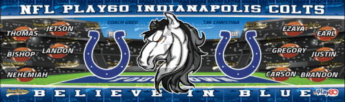 Colts, 10'x2' - 046