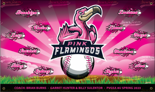 Flamingos, Pink - 625