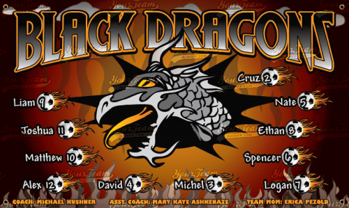 Dragons, Black - 520