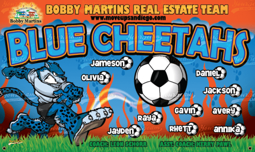 Cheetahs, Blue - 360