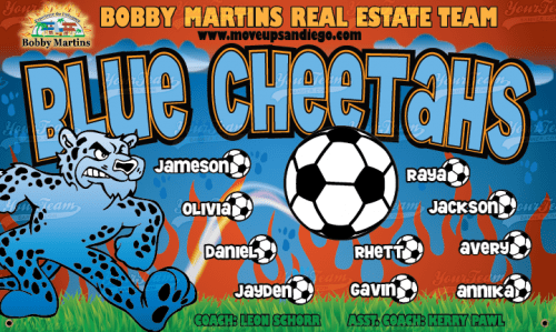 Cheetahs, Blue - 361