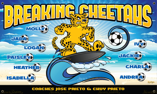 Cheetahs, Breaking - 370