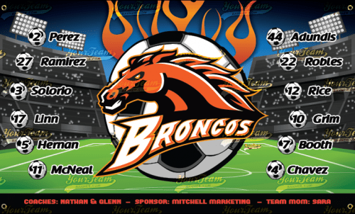 Broncos - 320