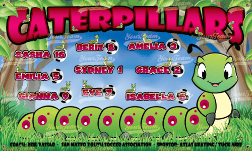 Caterpillars - 340