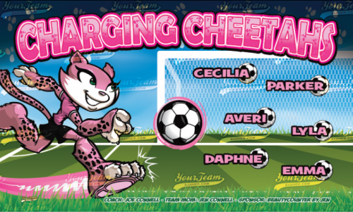 Cheetahs, Charging - 374