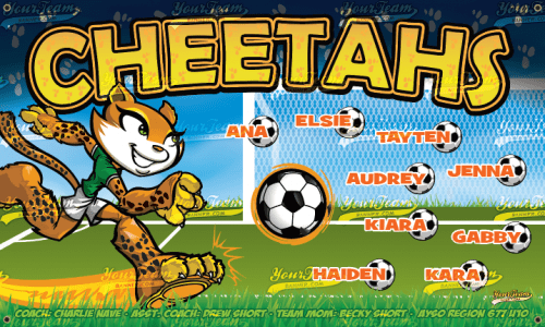 Cheetahs - 350