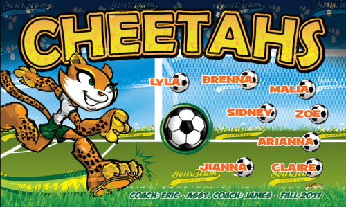Cheetahs - 351