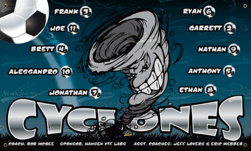 Cyclones - 441
