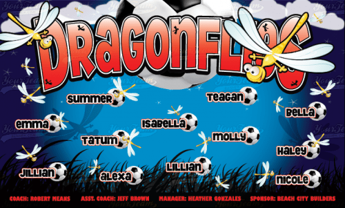 Dragonflys - 508