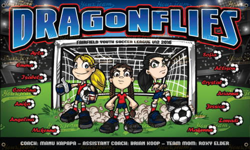 Dragonflies - 506