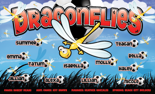 Dragonflies - 505