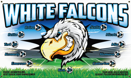 Falcons, White - 560
