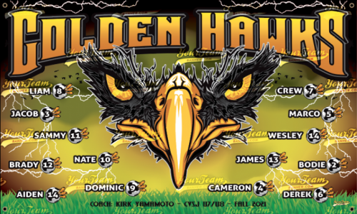 Hawks, Golden - 713