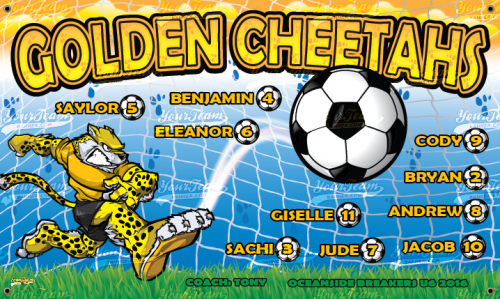 Cheetahs, Goldin - 376