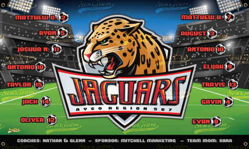 Jaguars - 761