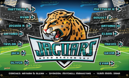 Jaguars - 760
