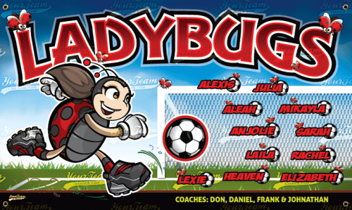 Ladybugs - 850