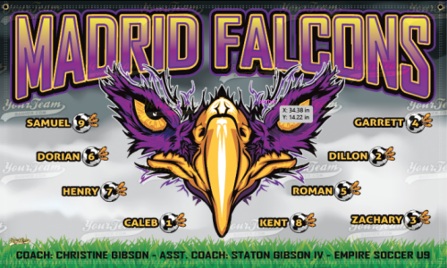 Falcons, Madrid - 561