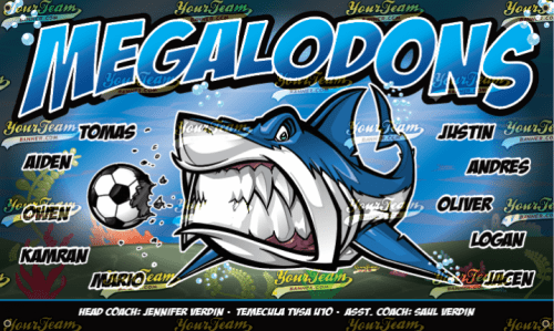 Megalodons - 900