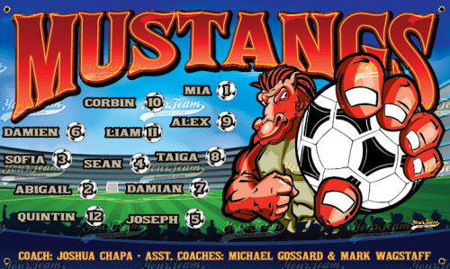 Mustangs - 920