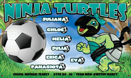 Turtles, Ninja - 1581