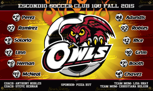 Owls - 991