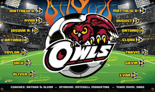 Owls - 990