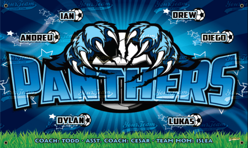 Panthers - 1010