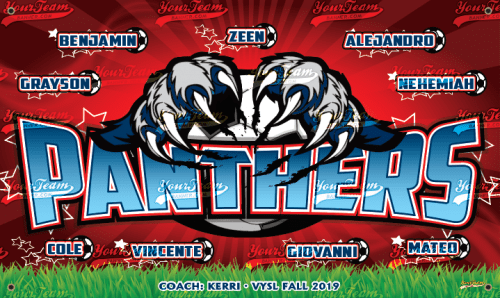 Panthers - 1013