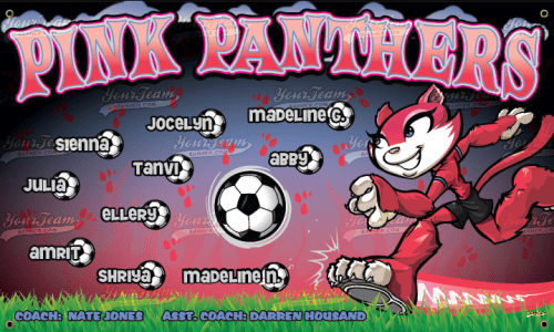 Panthers, Pink - 1021