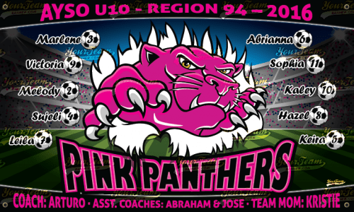 Panthers, Pink - 1022