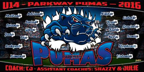 Pumas, 6'x3' - 1140