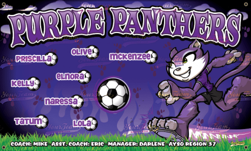 Panthers, Purple - 1025
