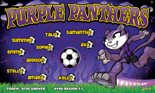 Panthers, Purple - 1026