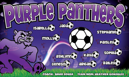 Panthers, Purple - 1023