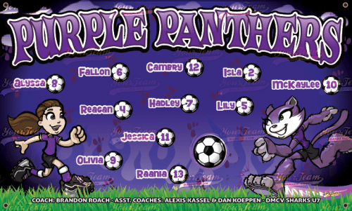 Panthers, Purple - 1024