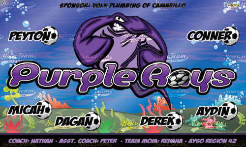 Rays, Purple - 1364