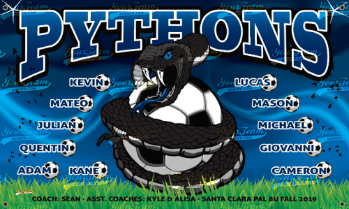 Pythons - 1148