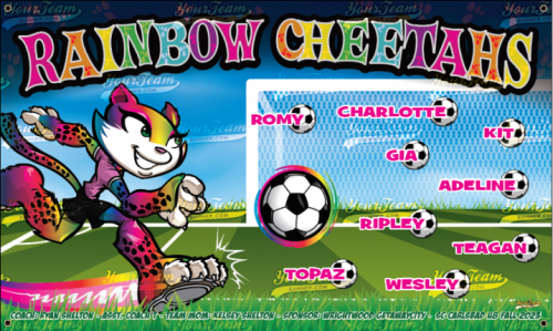 Cheetahs, Rainbow - 378