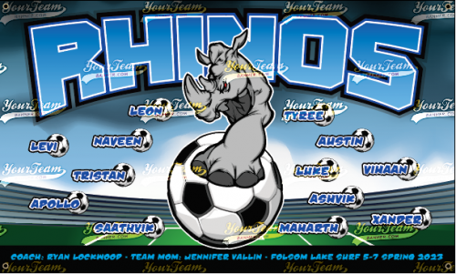 Rhinos - 1170